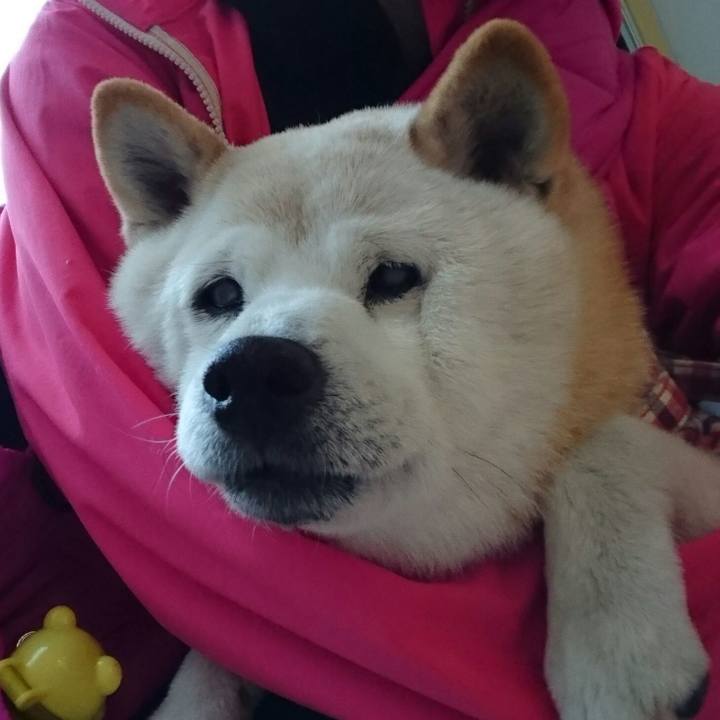 2e92156f 45d1 4ee2 8895 b065349010b3