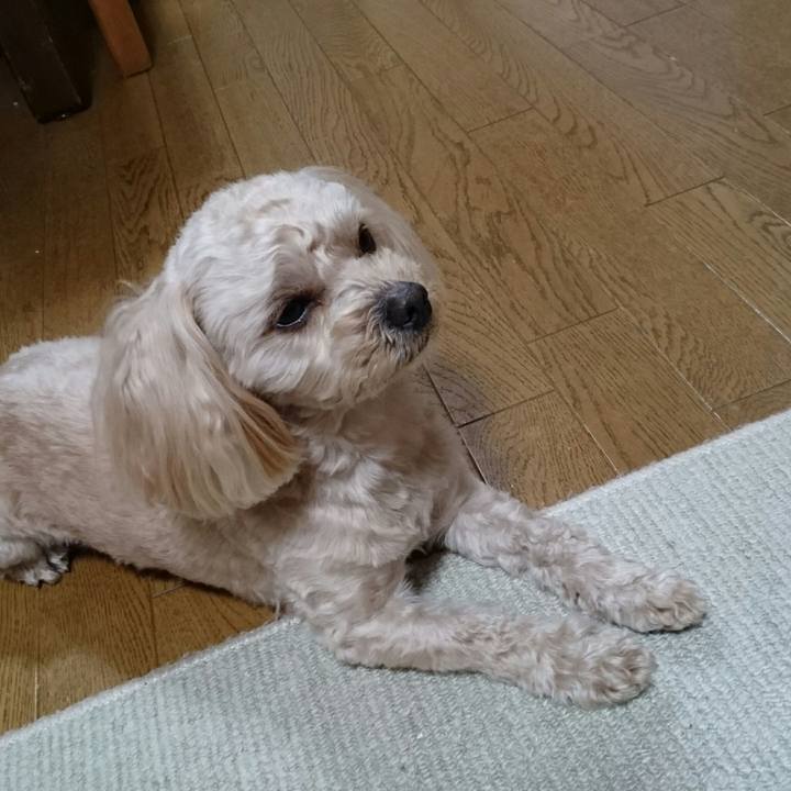 2e922e99 c90c 4038 b50b 9989eb90d7dc