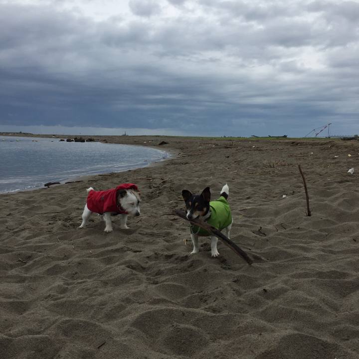 2e9267c7 7b2d 4e08 8ff1 e393e7deddd7