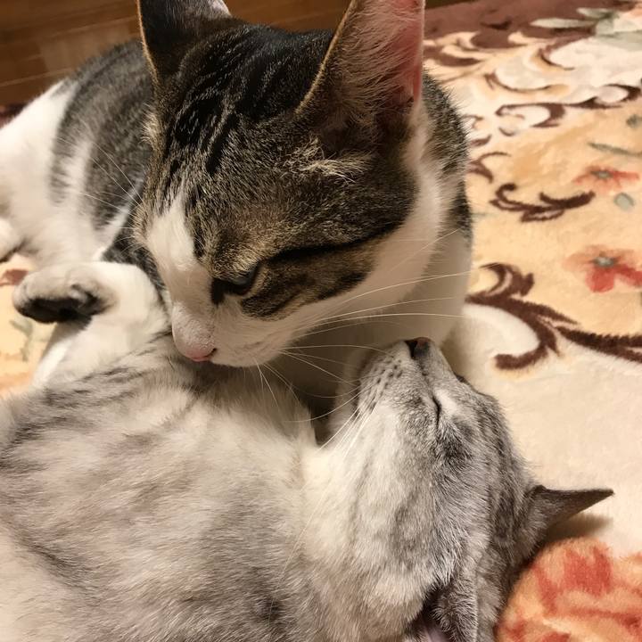 2e92c863 d941 4261 9319 5935c8b2f86e