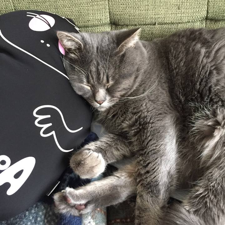 2e9308b9 7b3d 45ea 98d5 367ef9529d4d