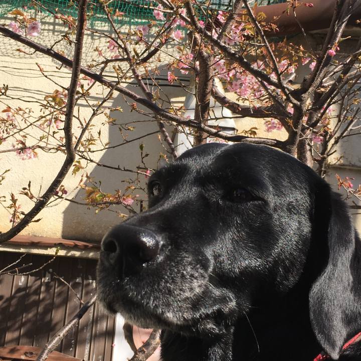 2e931c7e 4b6f 49d3 9898 f8063433f007