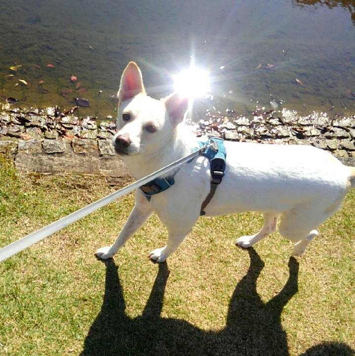 2e933c13 bc4d 472b 8e6c c0be92aa75b8