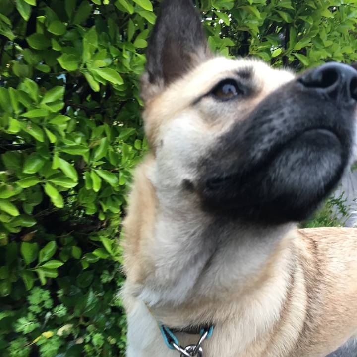 2e93cd97 b218 4b18 9970 5449bcc7c614