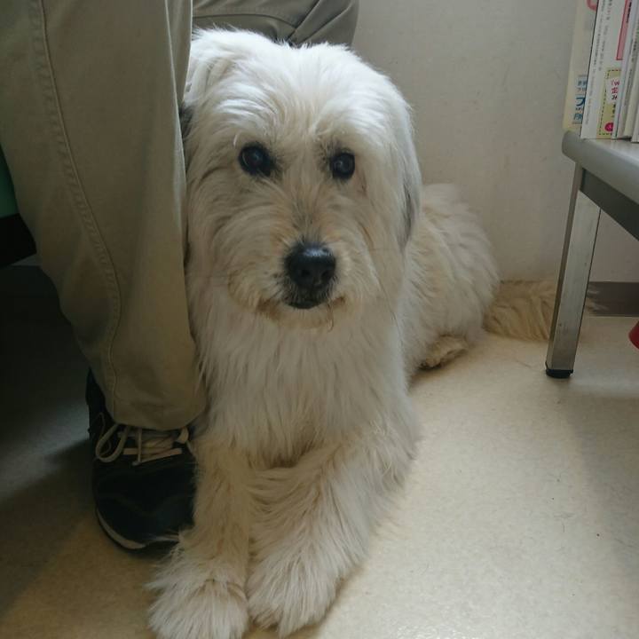 2e94a356 c603 48ae adb9 2ea0ead14158