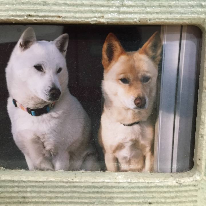 2e94e211 4eb7 44a6 a58f 82d900611fde