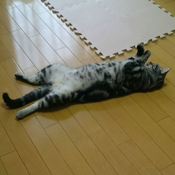 2e9516bf 9156 4b09 aac9 23025c235d52