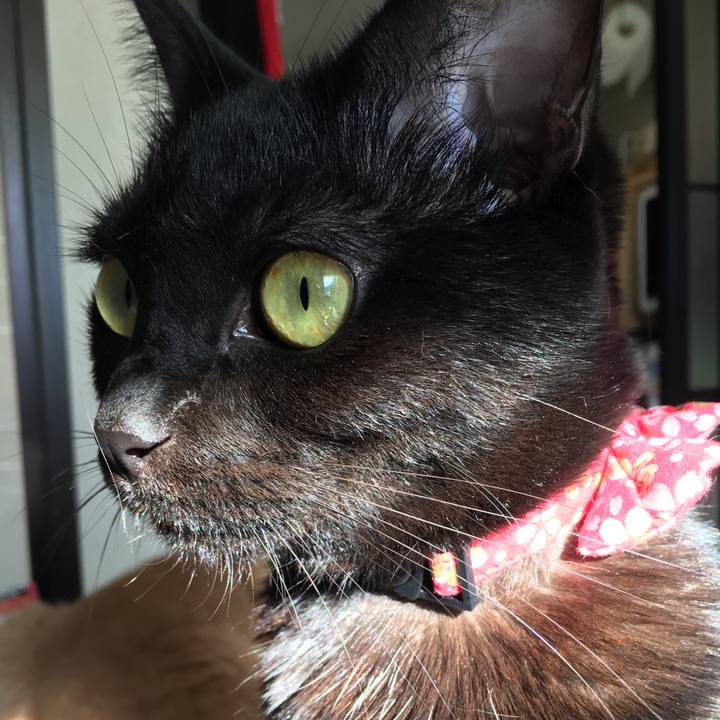 2e95c03f 4881 4660 816f a9c2158c8df6