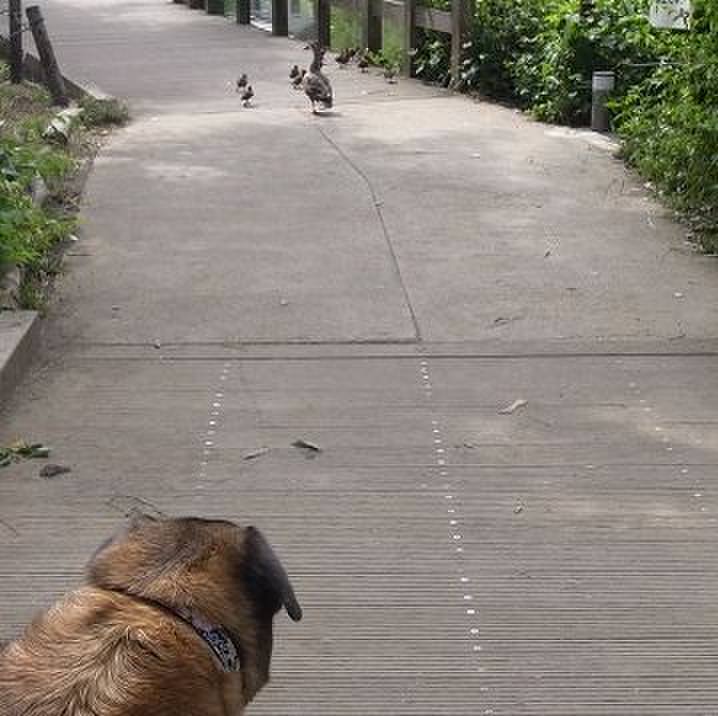 2e95ebff e44e 4bbe 91fb 8f8a02caf94c