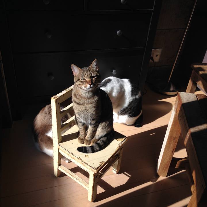 2e95eccc 71be 456b bb88 1210a7d77f9b