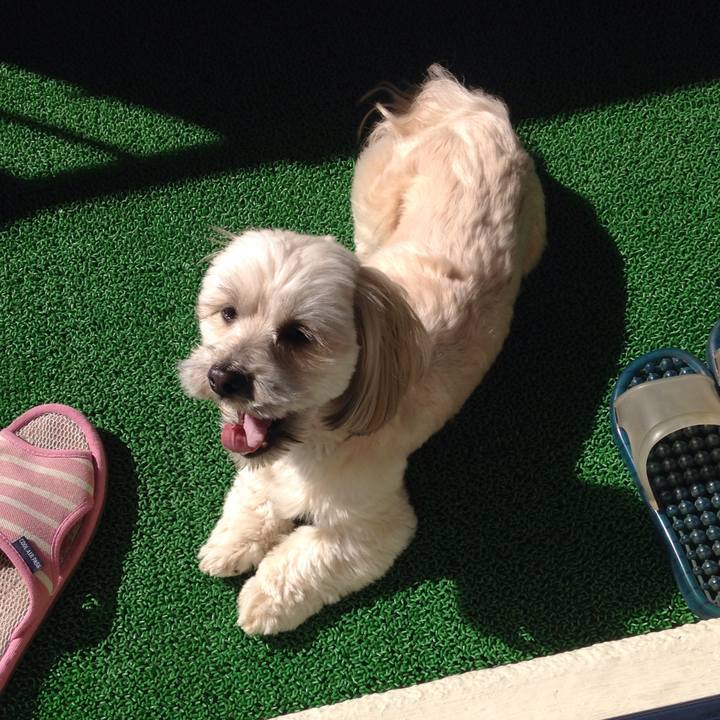 2e95ed53 9265 4272 8bab d3abf6824937