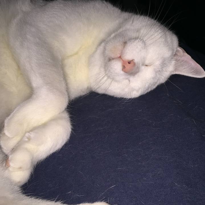 2e963878 76ca 4761 b5ff 914edf43d9e1