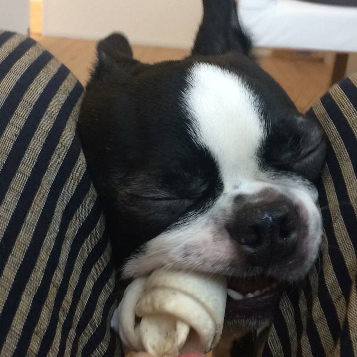 2e96b6ed e776 4ae0 b38f dd2cf1213dfd