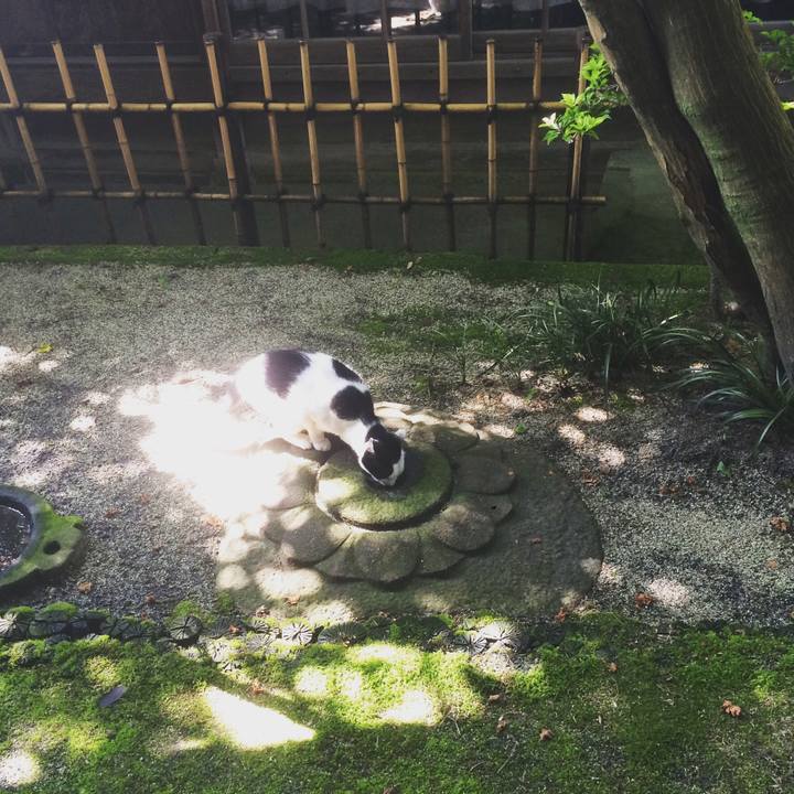 2e96fac0 d7d4 440f aa9d 9ad309c65ada