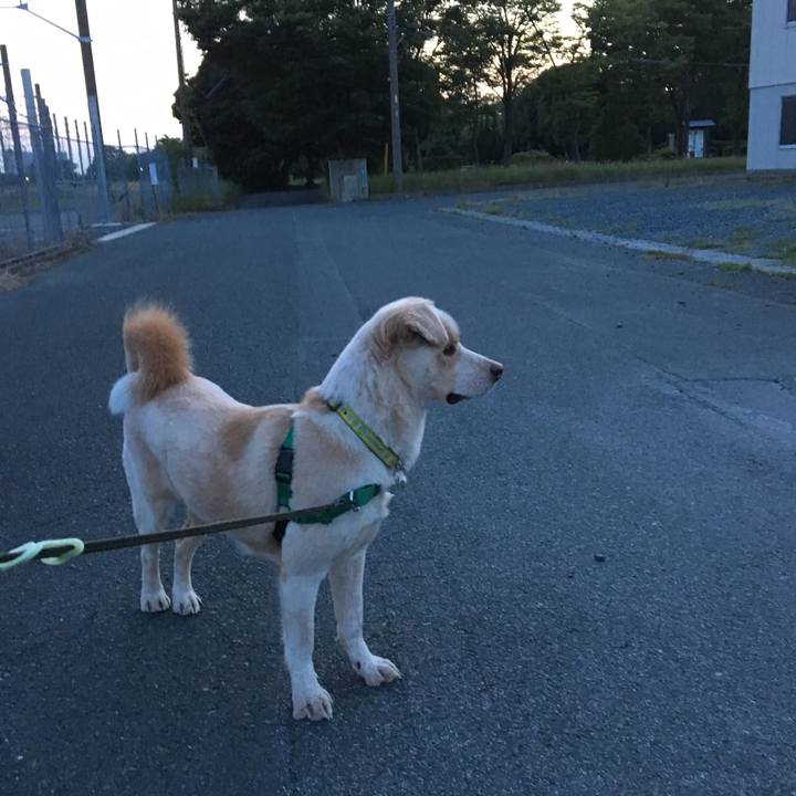 2e975445 0fb9 41ae 9869 d57fa97822fb