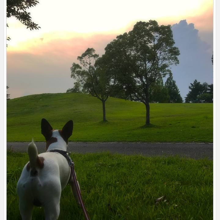 2e975d27 f338 4b44 b1d4 209759573fc8