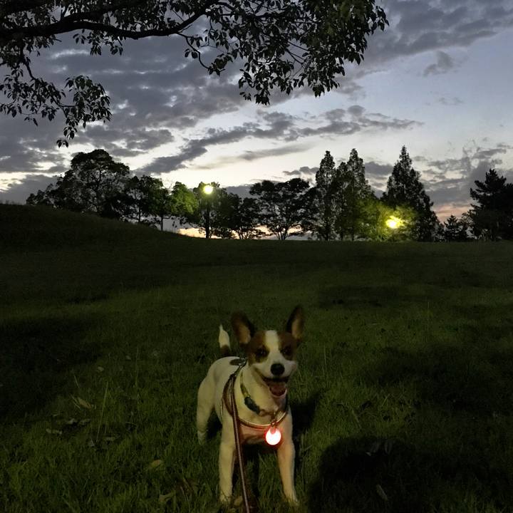 2e9766f9 16f2 41dd 9b7d e76358eaf4c8