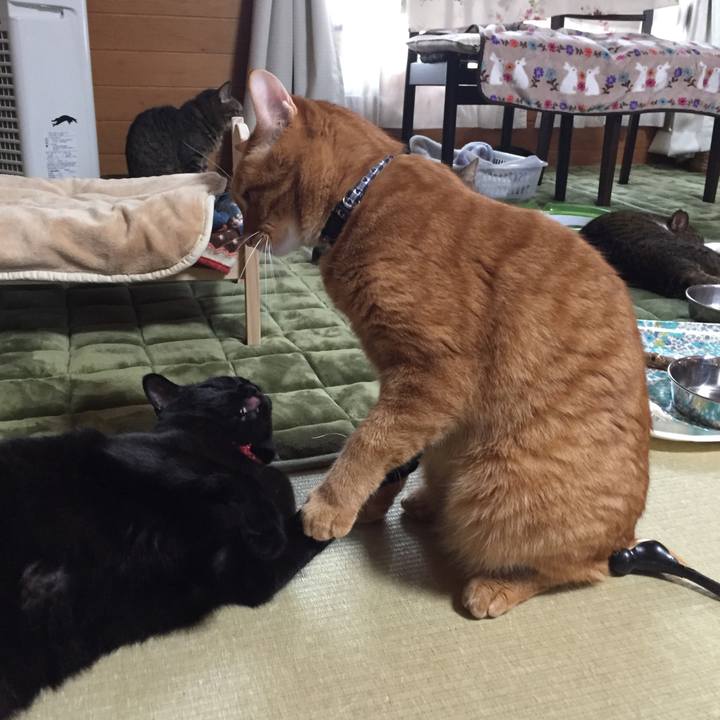 2e977069 c3cc 417c 97fc 5ddaa4e1eb65