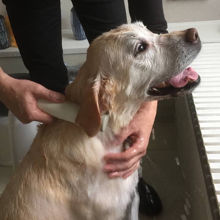 2e977178 1167 43a6 8779 7bb86e223e14