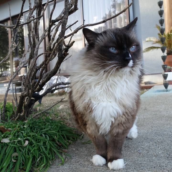 2e97b0ad ec5d 4460 9051 564d9cfc449a