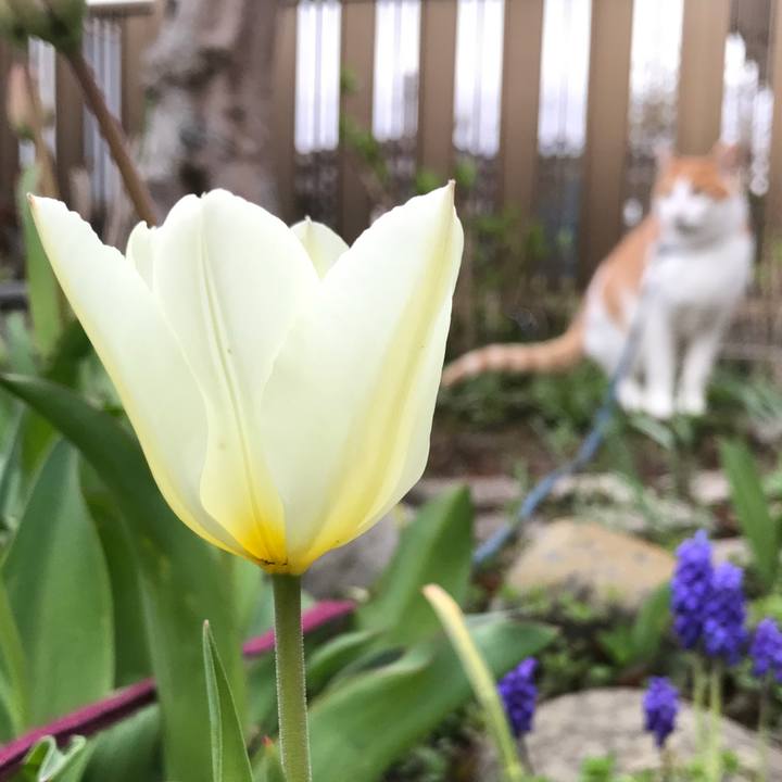 2e97ca93 4a5f 40b8 a111 4921ad069e60