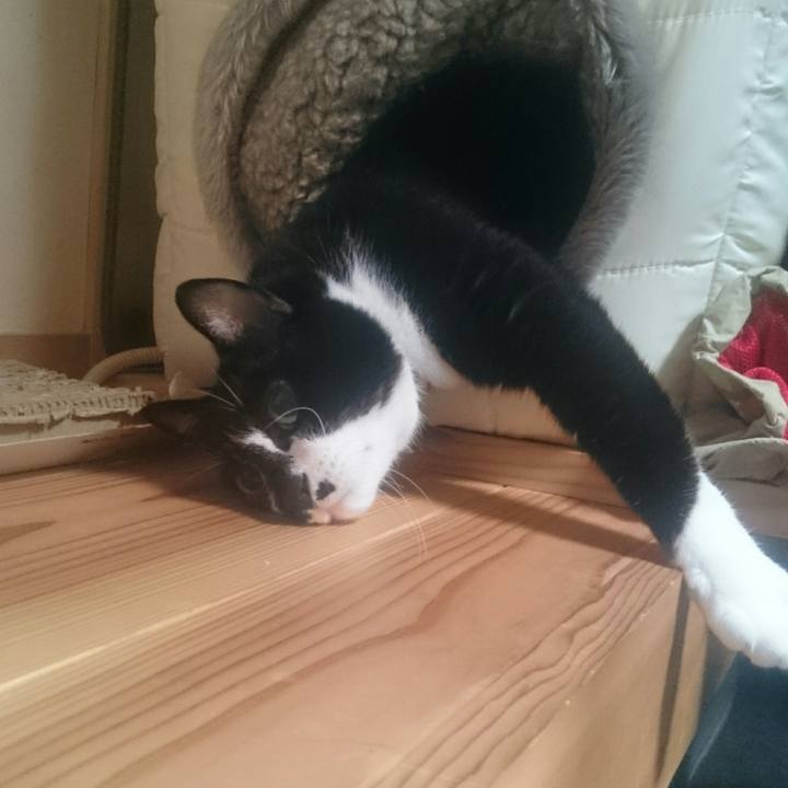 2e981097 27a3 445d 9307 571d8a4b4aa6