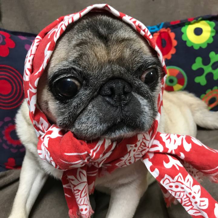 2e9a0ff8 823d 4171 b7bc 350a8beea092