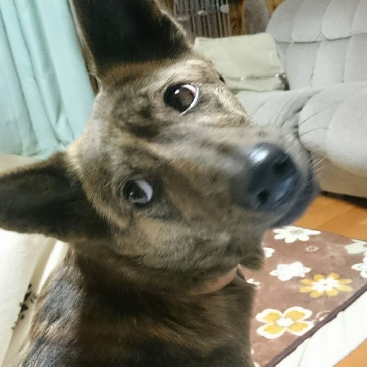 2e9a5fbc 52f2 4ac9 a4aa 71faa9031200