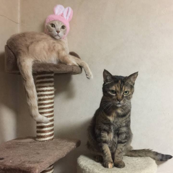 2e9b0156 85ae 4237 bdff 57c941ecbe61