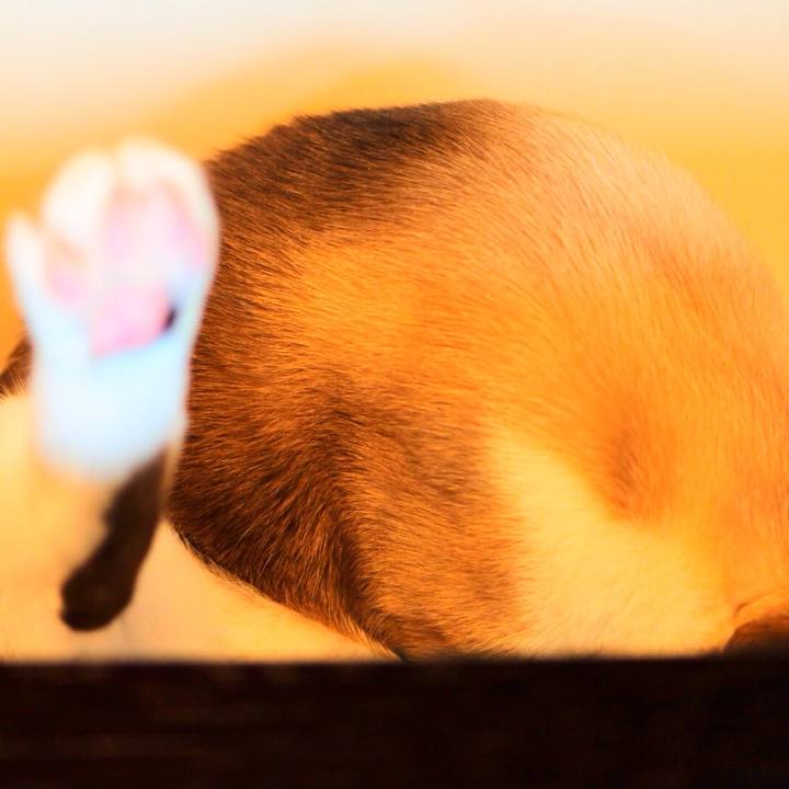 2e9b01af f3cf 42e1 a3df c46ec925895b