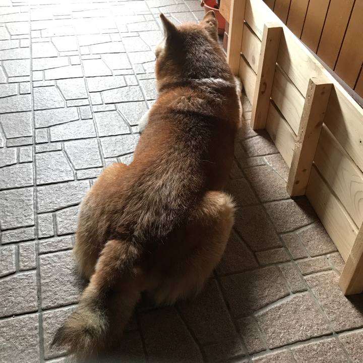 2e9bc7ae 257b 4c24 a2dd 4daf9e3a4d8f