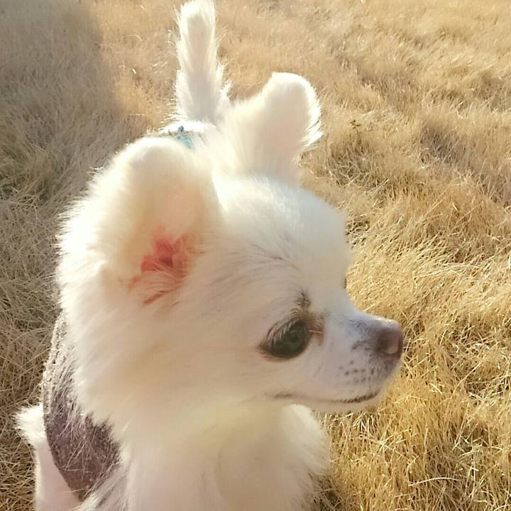 2e9c346f d0b4 4b7d 9a4e 587c0f28cbbc