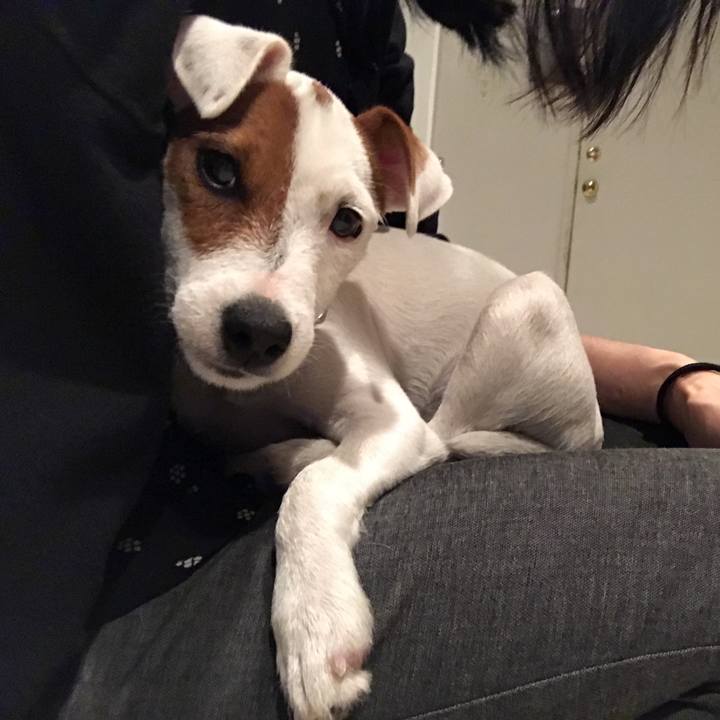 2e9c77c4 149f 4ebb 9633 8d9a660ef26d