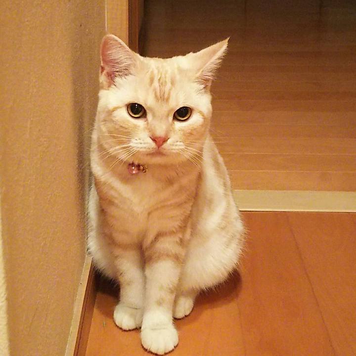 2e9caadf a943 444f af84 6d99a7187a39