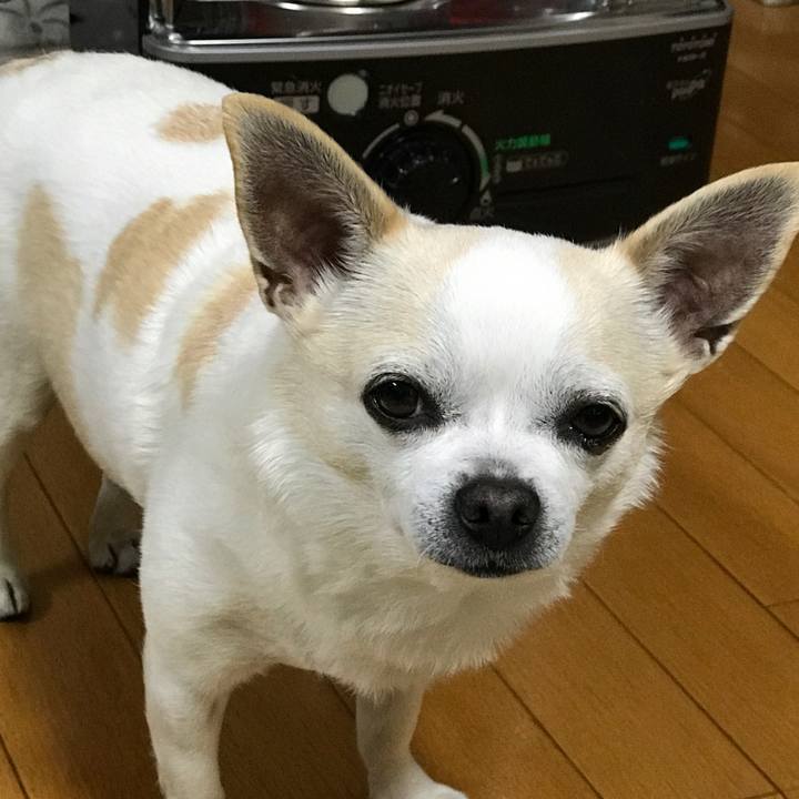 2e9ec97b 2a56 4879 8198 4c0d38b31e08