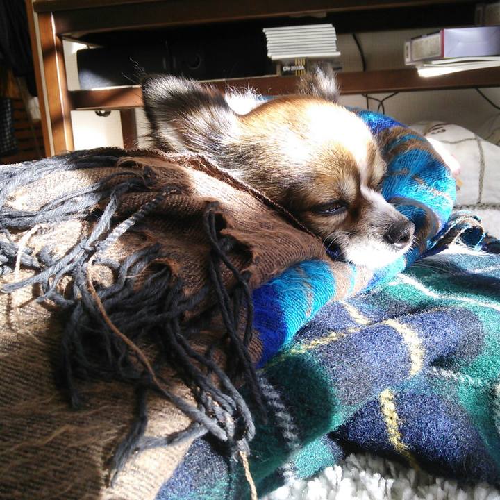 2e9efff1 1cff 48cc 9083 511ec5f0ced7