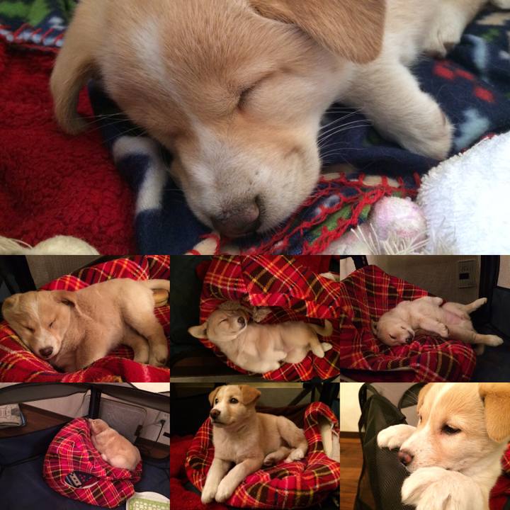 2e9f7189 1fcf 4f36 809c 0df583fde46b