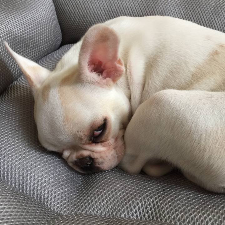 2ea0ab54 0e1e 4a0c 9e12 6996866625f9