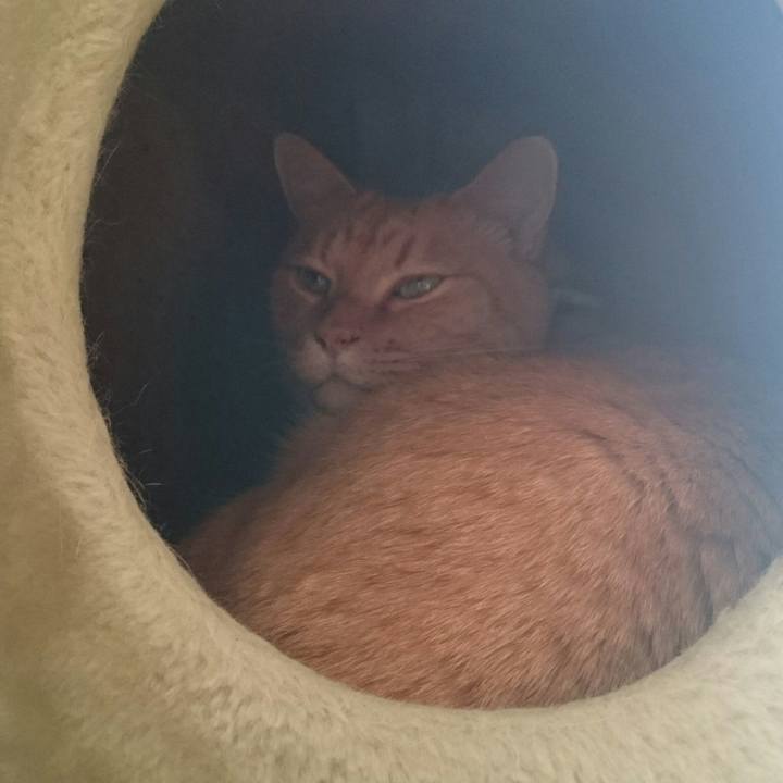 2ea0d9ee a4d1 4ba9 9b6b 90d6c91044fa