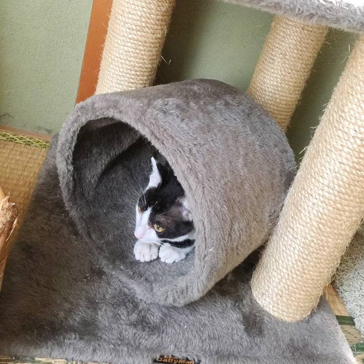 2ea0fad6 d2c6 4b2a 8a27 b09fcc212e06