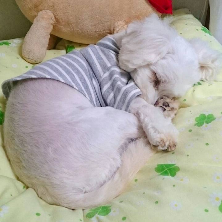 2ea14270 f3a0 4a8a a25e 30dd7abfaa6b