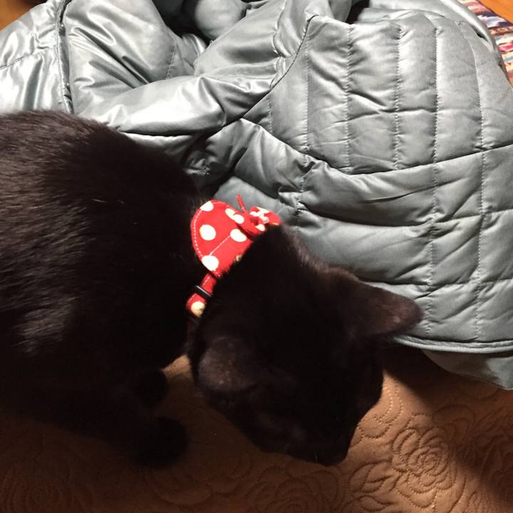 2ea19f41 1edc 47a4 b14c 1f883a8c7025