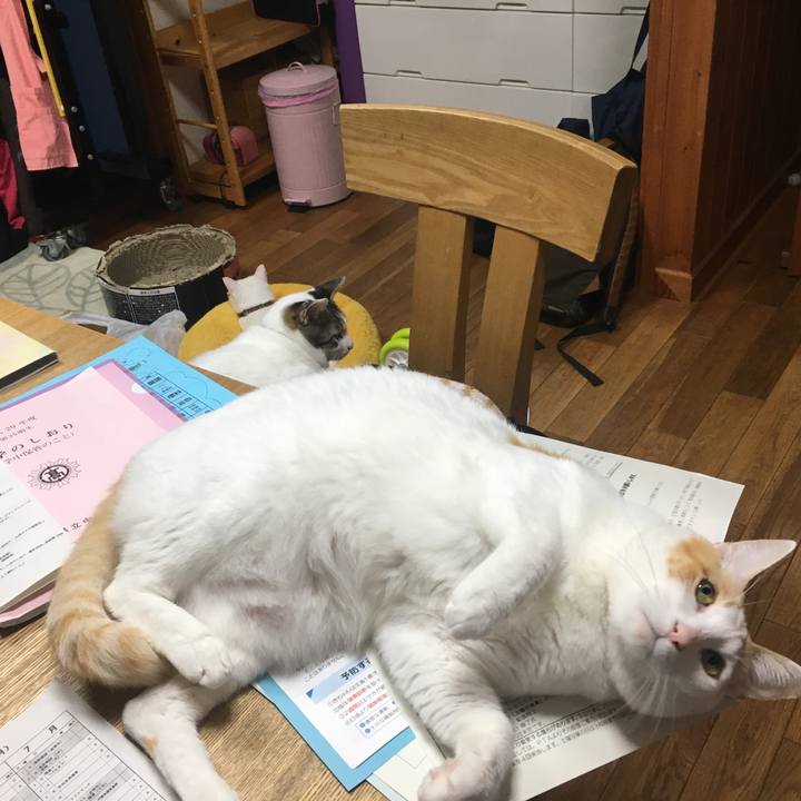 2ea1a6ce e5db 43d5 9c36 9d98b8dd221c