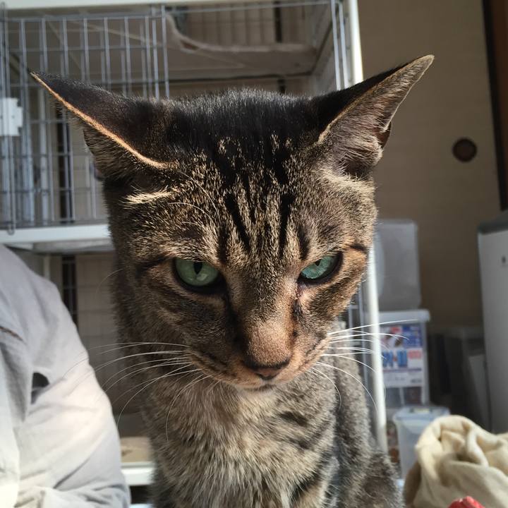 2ea27663 274c 4c72 aefa 8e57de8fa36c