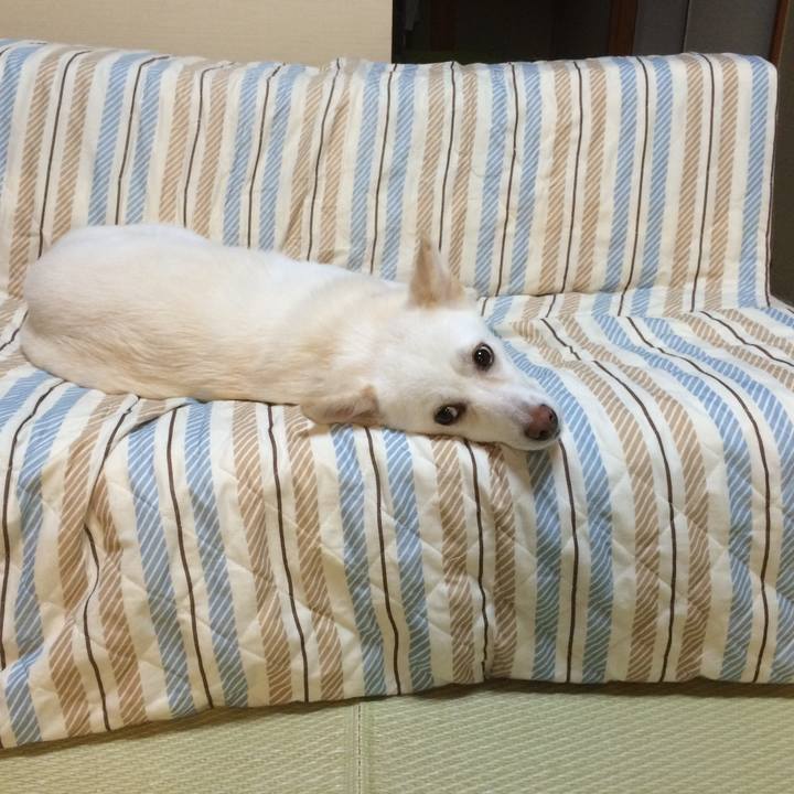 2ea30b0f 6171 4a15 86b3 679220912699