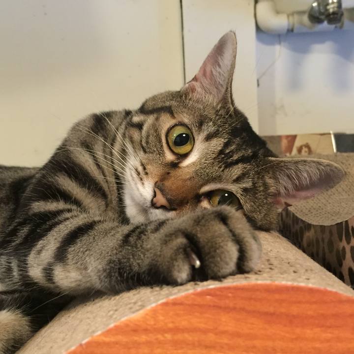 2ea33d63 5f02 4718 ba20 f7514e0ad1c0