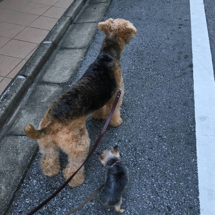 2ea358ad 5ef3 4452 bf50 2d1d7e0e8249