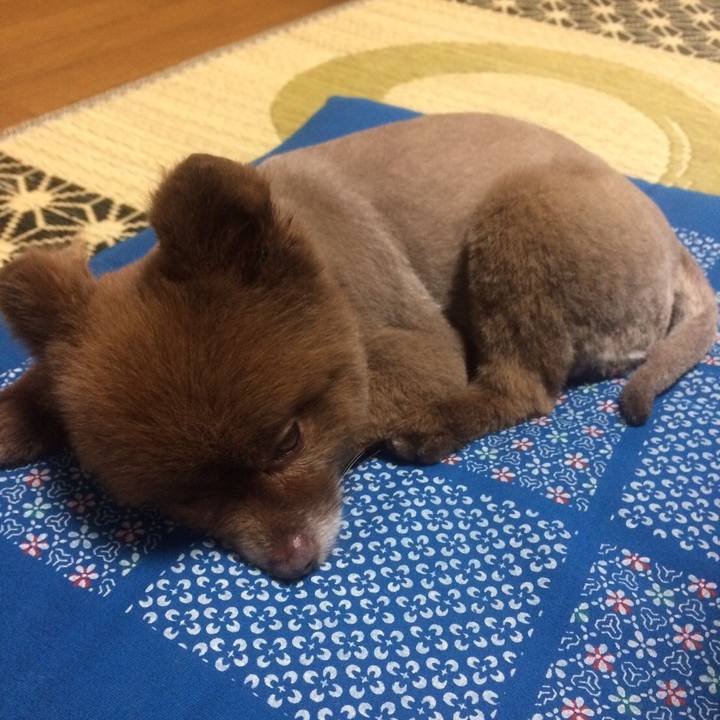 2ea3a3db 2f16 41cb 882f fa3254f96fbb