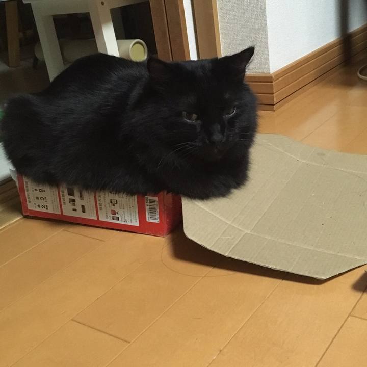 2ea3d0ff 0f16 4eb8 8bf0 d60ce6e288b4