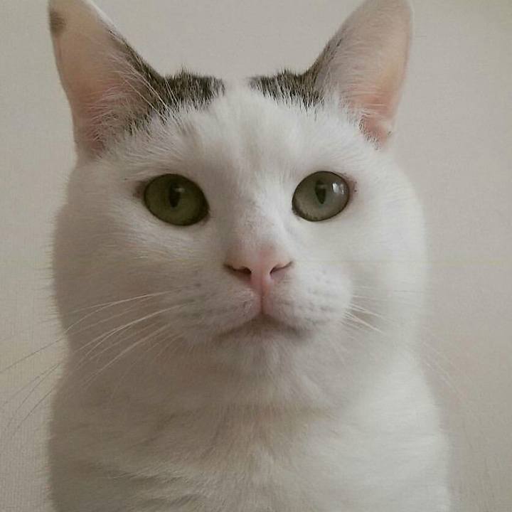 2ea4a1e8 e73a 4c7a a8bd 1cf813271610